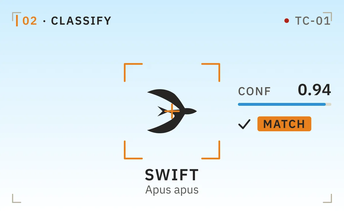 Candidate labels settle on a species beside the detection card