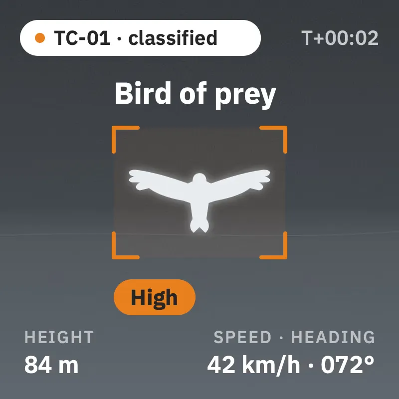 Camera frame with the detection box and the species label
