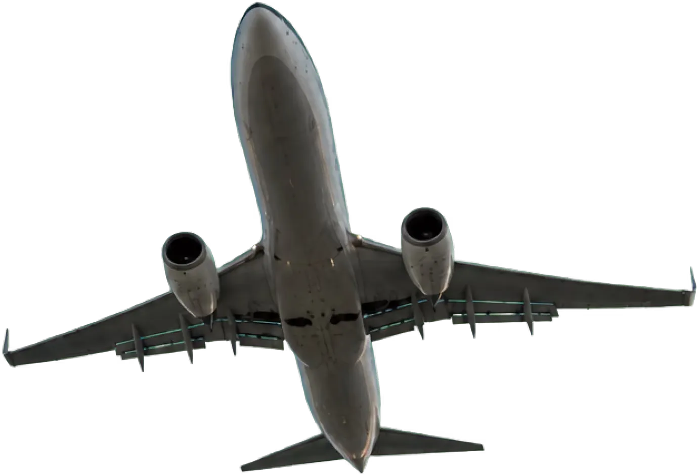 Gulls settled on a grass strip beside a taxiway
