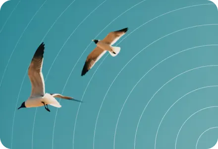 A radar scope with unlabeled returns