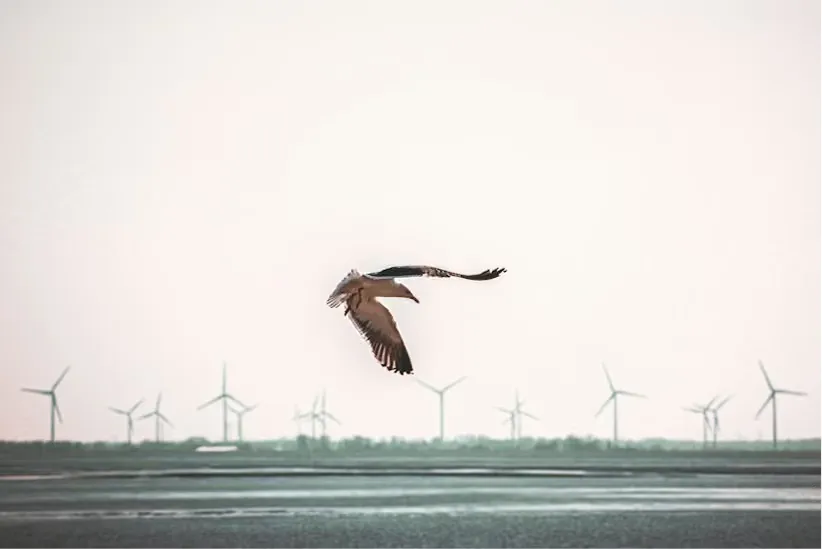 A stopped turbine among turning ones on a ridge